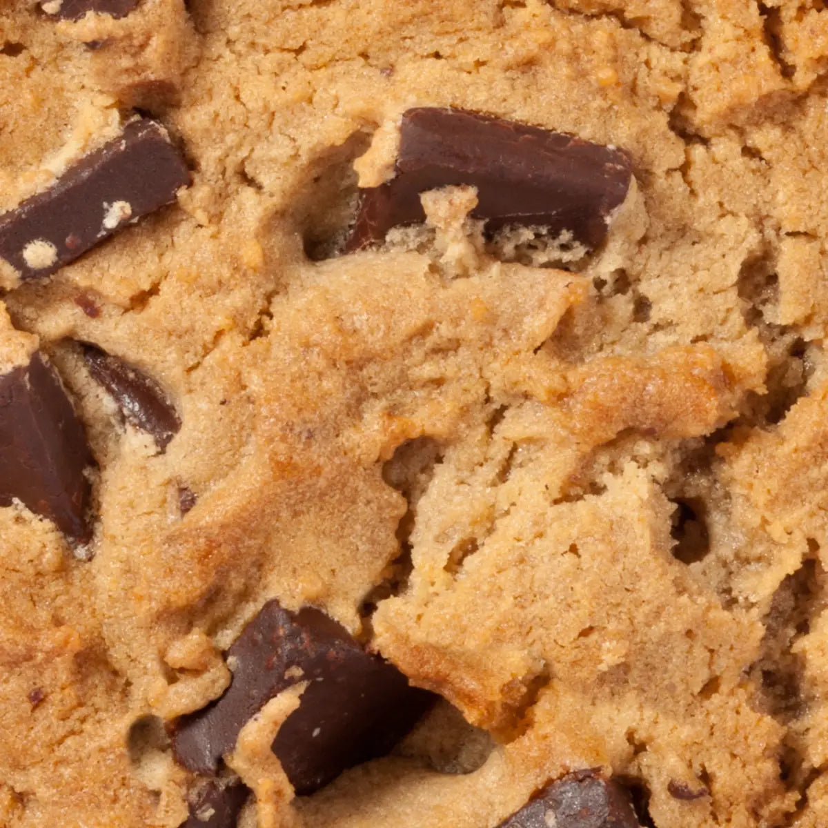 Chocolate Chip Cookie Cashew Butter